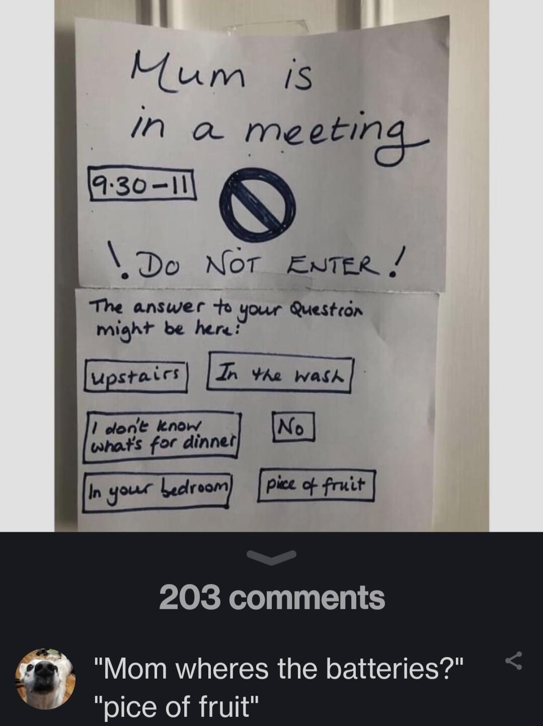 al Mum s n o meetin The answer to Quf 6 gt be herel f In gour Ledroom piee of fruit 203 comments Mom wheres the batteries pice of fruit