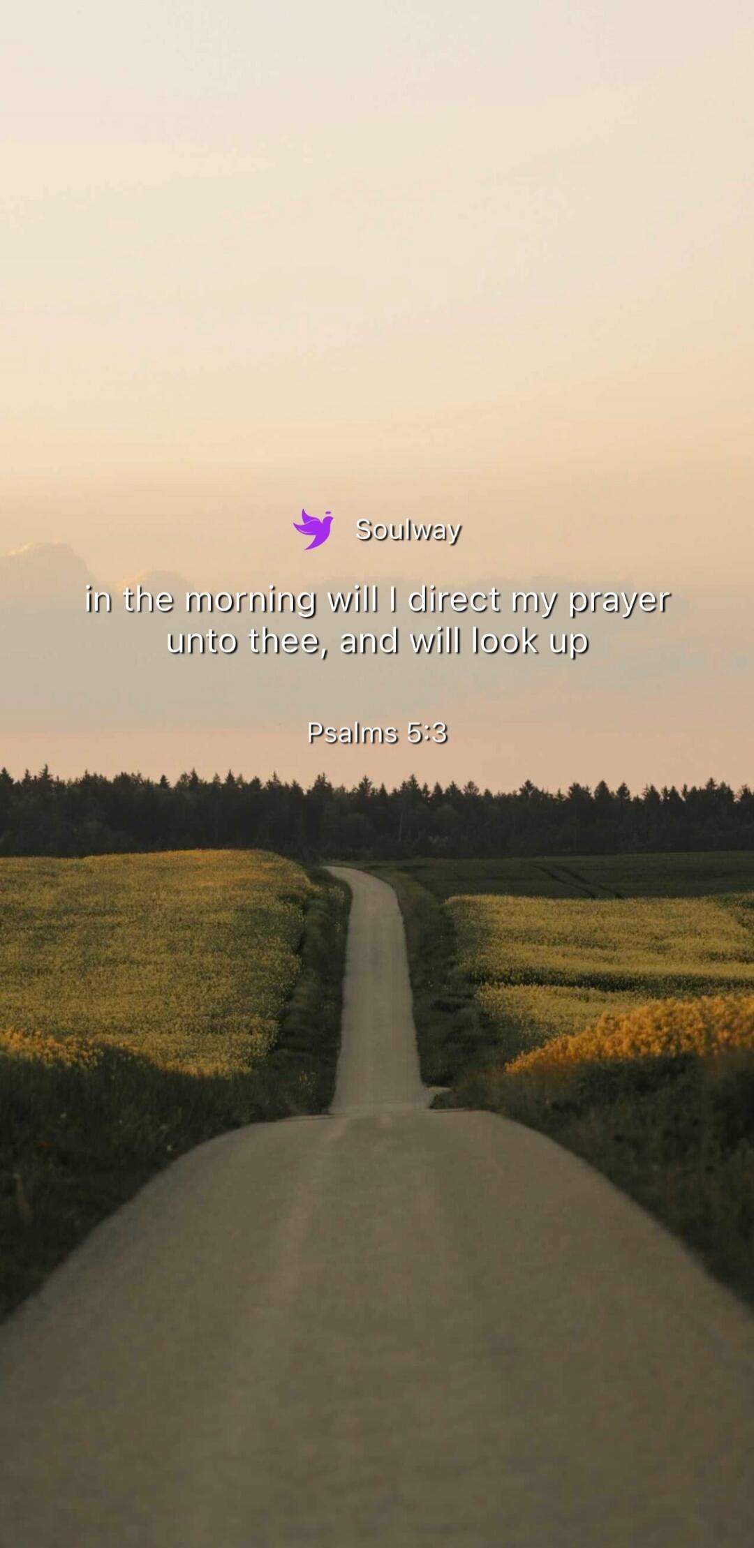 in the morning will I direct my prayer unto thee, and will look up Psalms 5:3