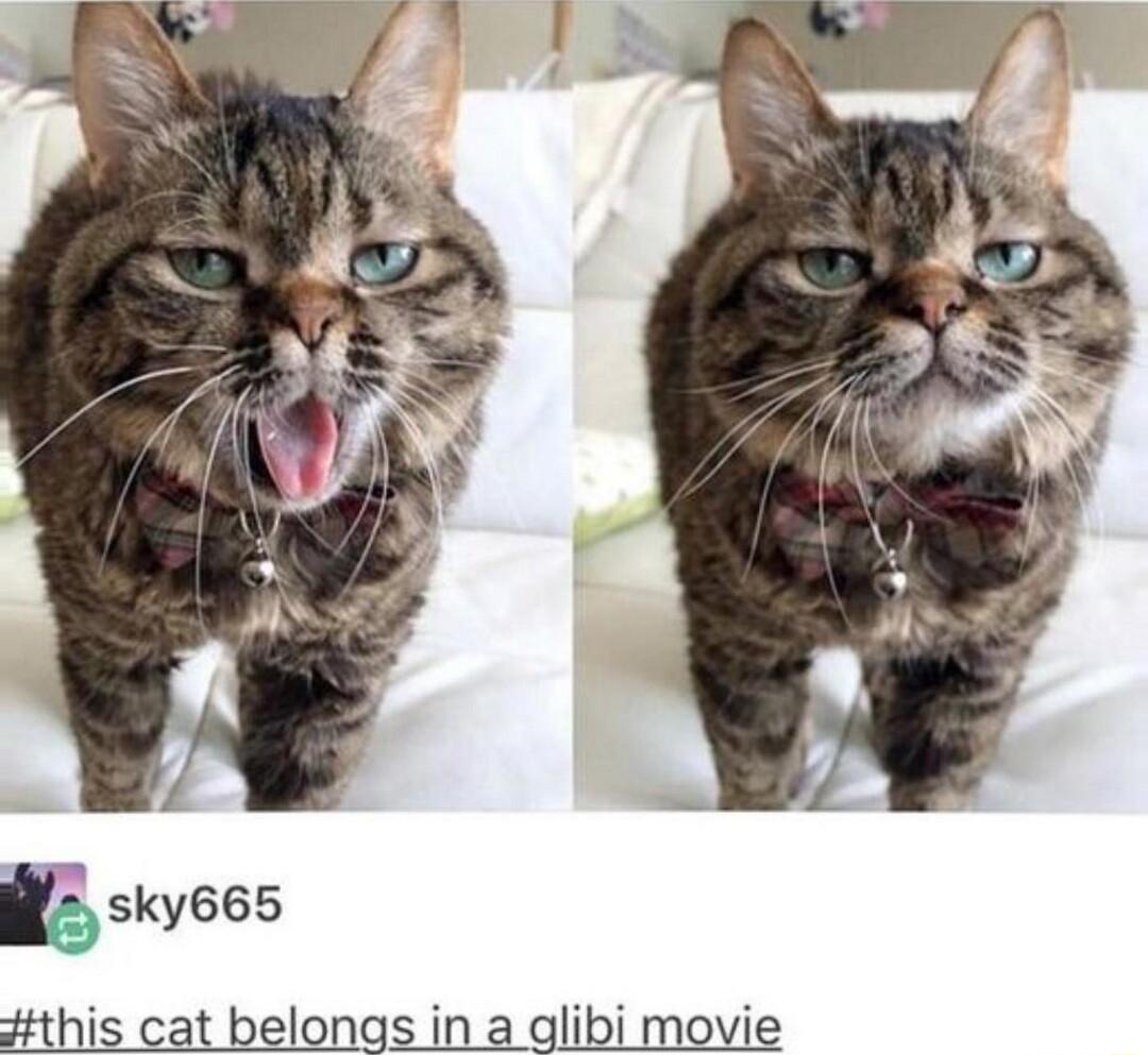 sky665 this cat belongs ii movie