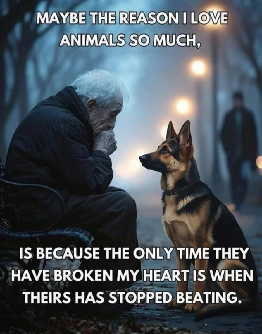 MAYBE THE REASON I LOVE ANIMALS SO MUCH, IS BECAUSE THE ONLY TIME THEY HAVE BROKEN MY HEART IS WHEN THEIR HEARTS HAVE STOPPED BEATING.