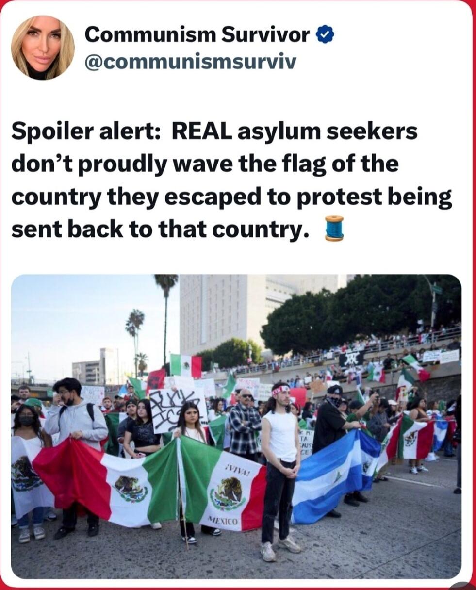 Communism Survivor communismsurviv Spoiler alert REAL asylum seekers dont proudly wave the flag of the country they escaped to protest being sent back to that country