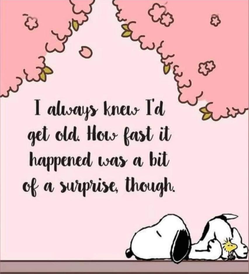 I always knew I'd get old. How fast it happened was a bit of a surprise, though.