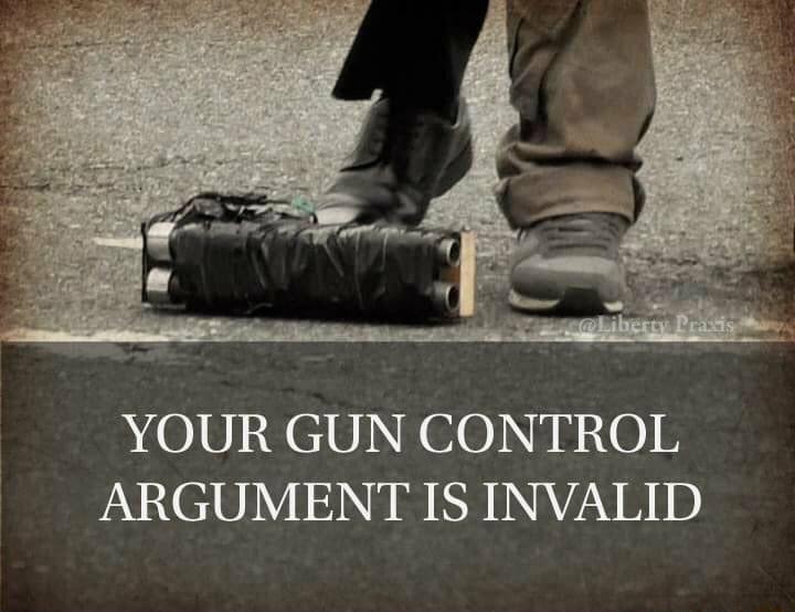 YOUR GUN CONTROL PaV101Y 120 S NAVN B 1D