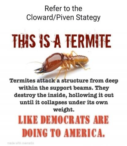 Refer to the Cloward/Piven Strategy THIS IS A TERMITE Termites attack a structure from deep within the support beams. They destroy the inside, hollowing it out until it collapses under its own weight. LIKE DEMOCRATS ARE DOING TO AMERICA.