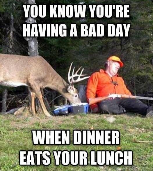 YOU KNOW YOU'RE HAVING A BAD DAY WHEN DINNER EATS YOUR LUNCH