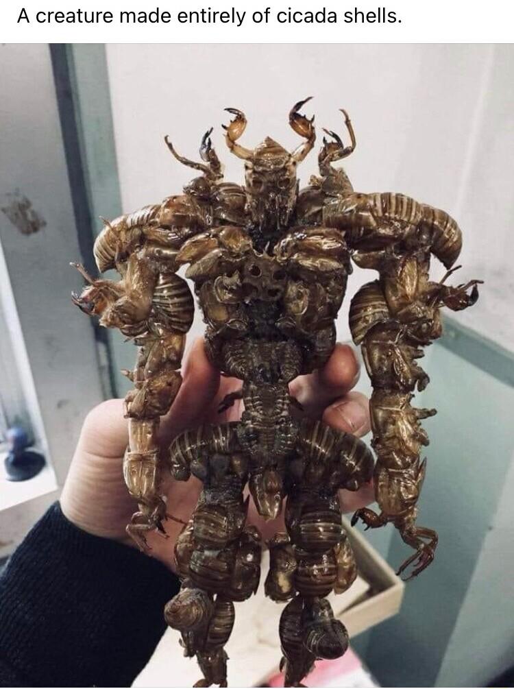 A creature made entirely of cicada shells