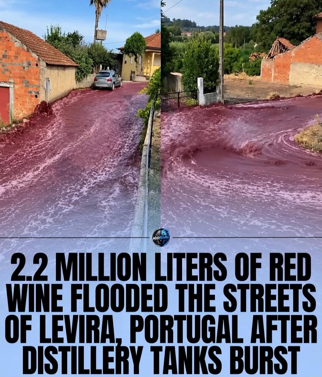 2.2 MILLION LITERS OF RED WINE FLOODED THE STREETS OF LEVIRA, PORTUGAL AFTER DISTILLERY TANKS BURST