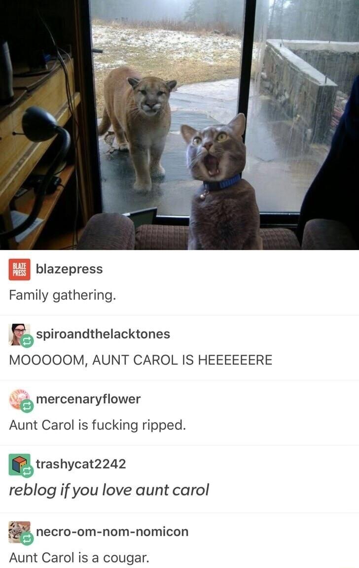 blazepress Family gathering spimandthelackmnes MOOOOOM AUNT CAROL IS HEEEEEERE mercenaryflower Aunt Carol is fucking ripped Mtrashycatzzdz reblog if you love aunt carol 8 necro om nom nomicon Aunt Carol is a cougar