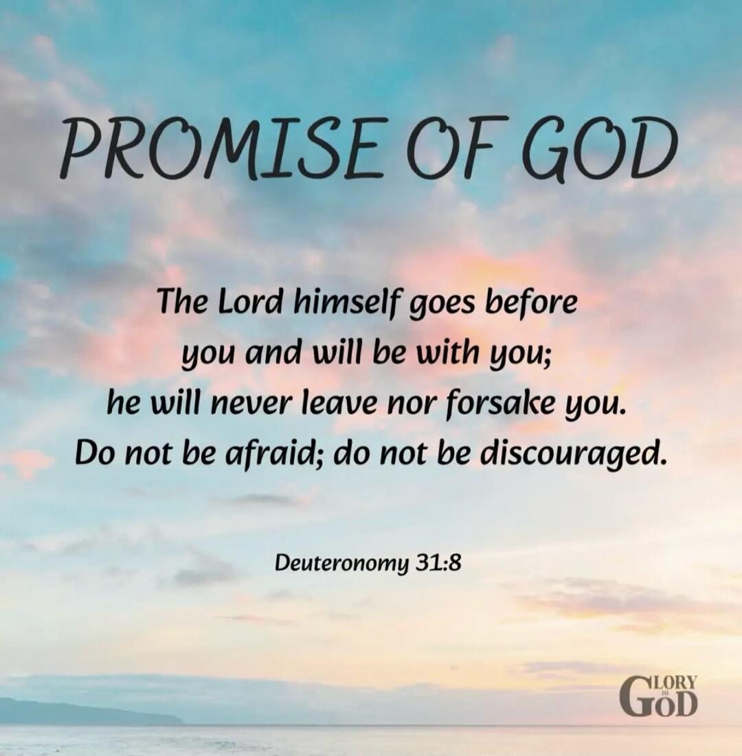 PROMISE OF GOD

The Lord himself goes before you and will be with you; he will never leave nor forsake you. Do not be afraid; do not be discouraged.

Deuteronomy 31:8