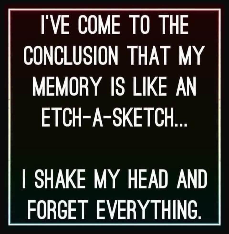 I'VE COME TO THE CONCLUSION THAT MY MEMORY IS LIKE AN ETCH-A-SKETCH... I SHAKE MY HEAD AND FORGET EVERYTHING.