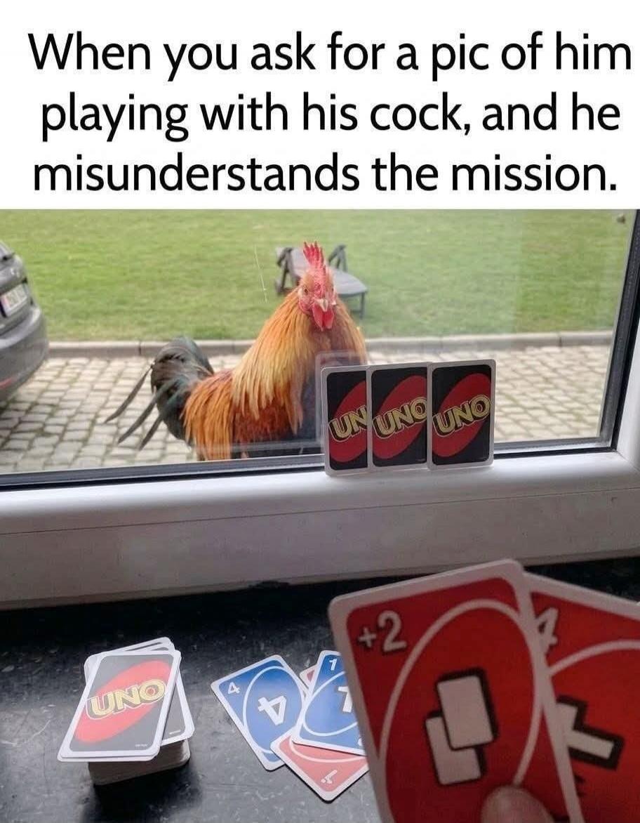 When you ask for a pic of him playing with his cock, and he misunderstands the mission. A rooster is seen outside a window, while inside, UNO cards are arranged on the windowsill and held by a person.