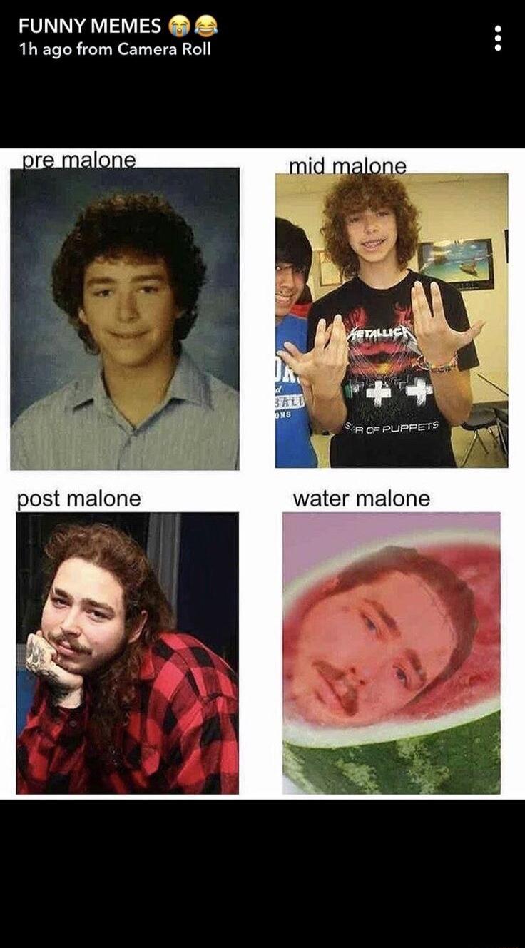 FUNNY MEMES 1h ago from Camera Roll post malone water malone