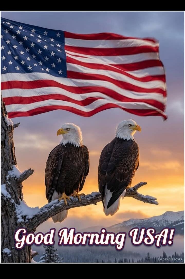 Good Morning USA! BALD EAGLE LOVER