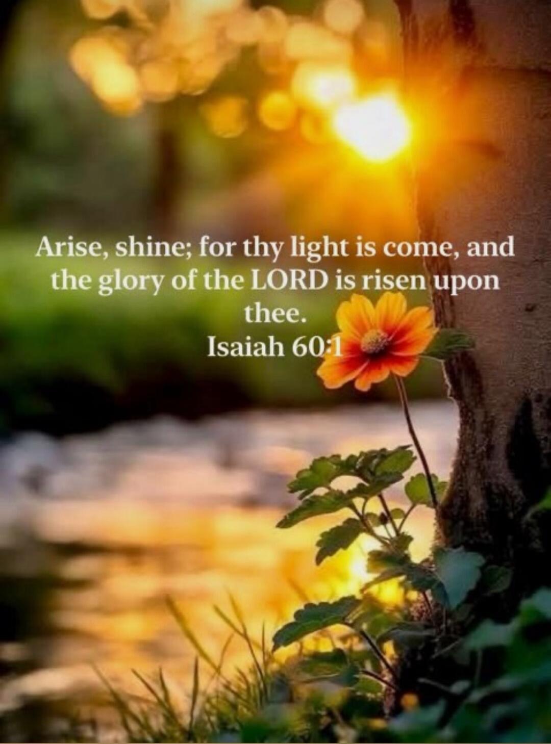Arise, shine; for thy light is come, and the glory of the LORD is risen upon thee. Isaiah 60:1