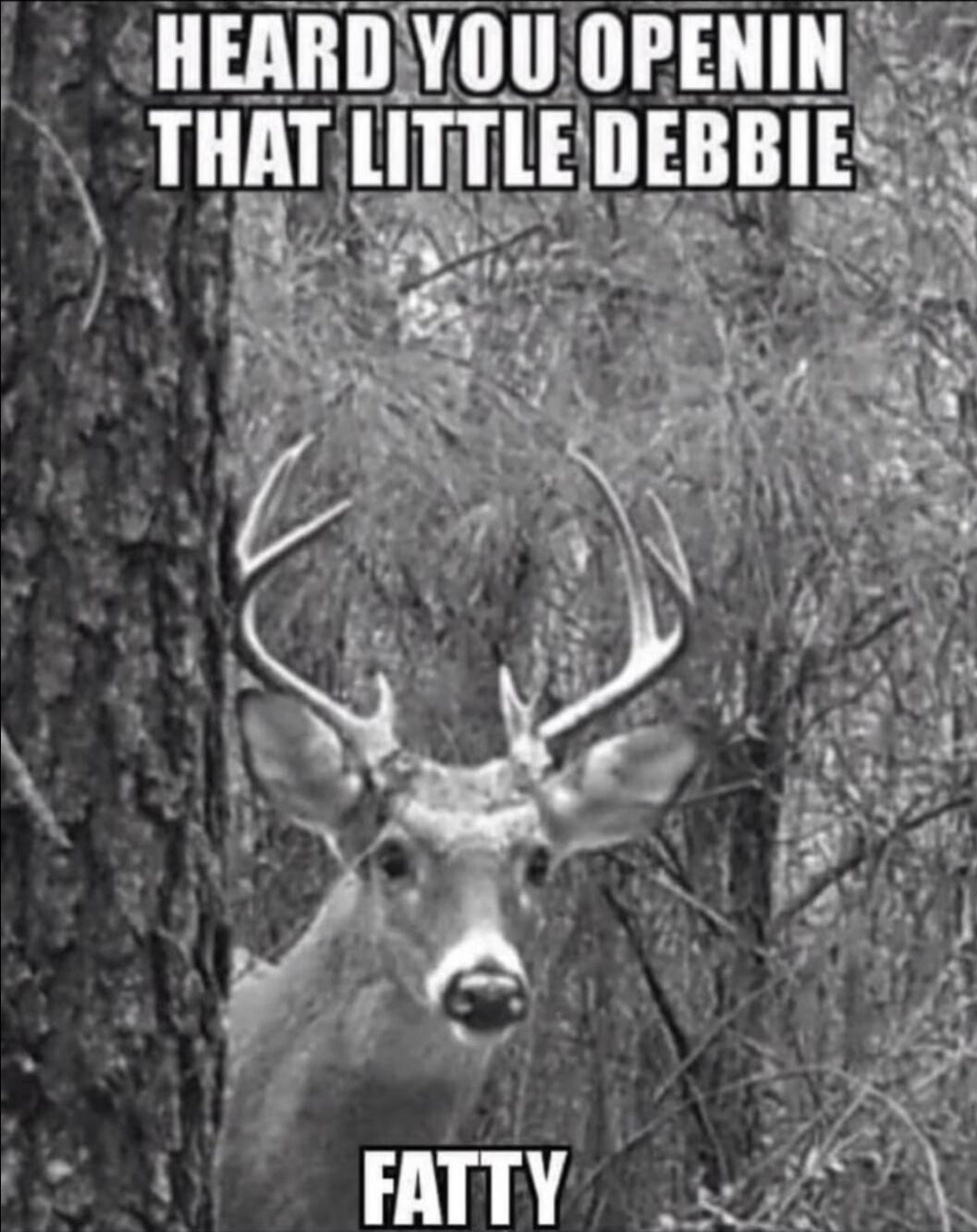 HEARD YOU OPENIN THAT LITTLE DEBBIE FATTY