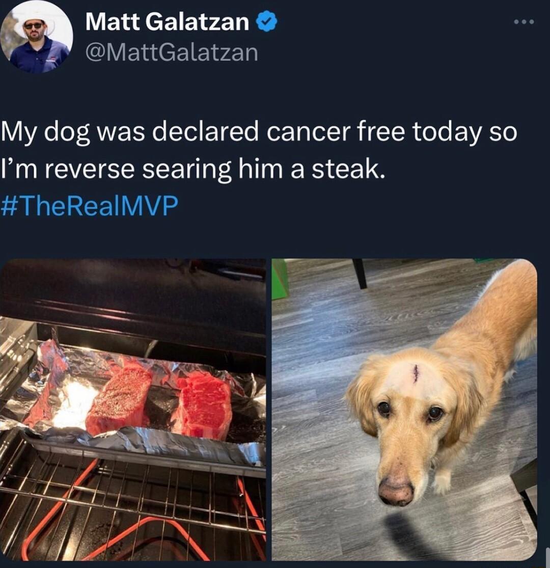 9 Matt Galatzan Z MattGalatzan VYR T ANV Tl ETETe NeZ oTeleT T R el EVASTS Im reverse searing him a steak TheRealMVP