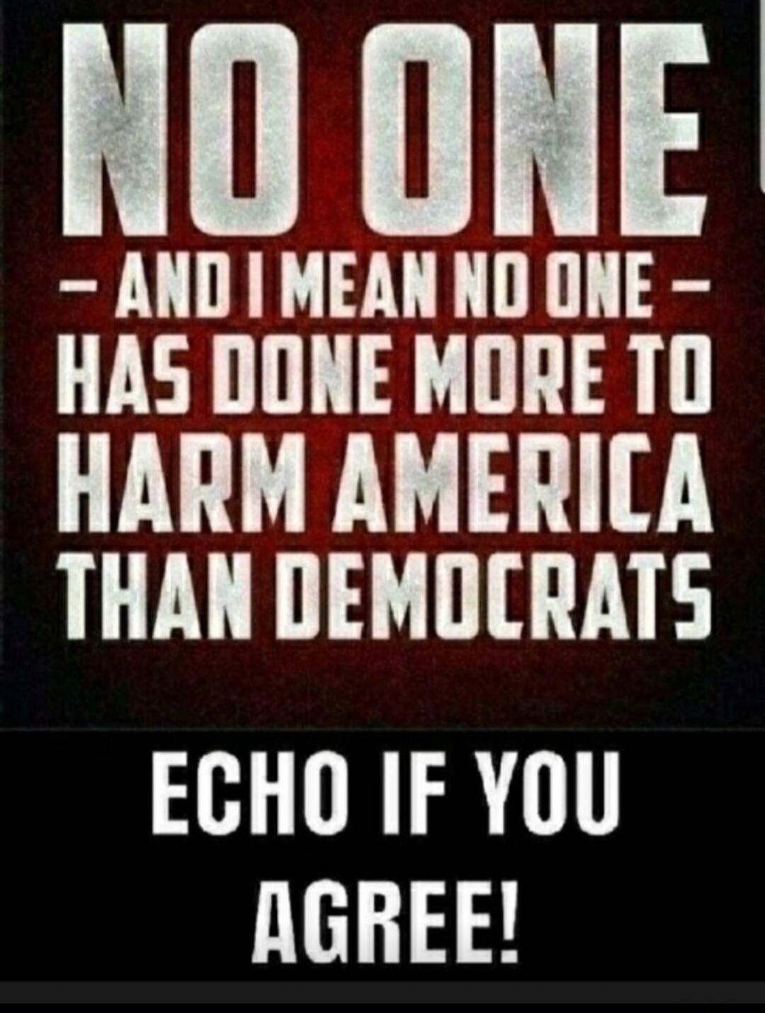 NO ONE - AND I MEAN NO ONE - HAS DONE MORE TO HARM AMERICA THAN DEMOCRATS ECHO IF YOU AGREE!