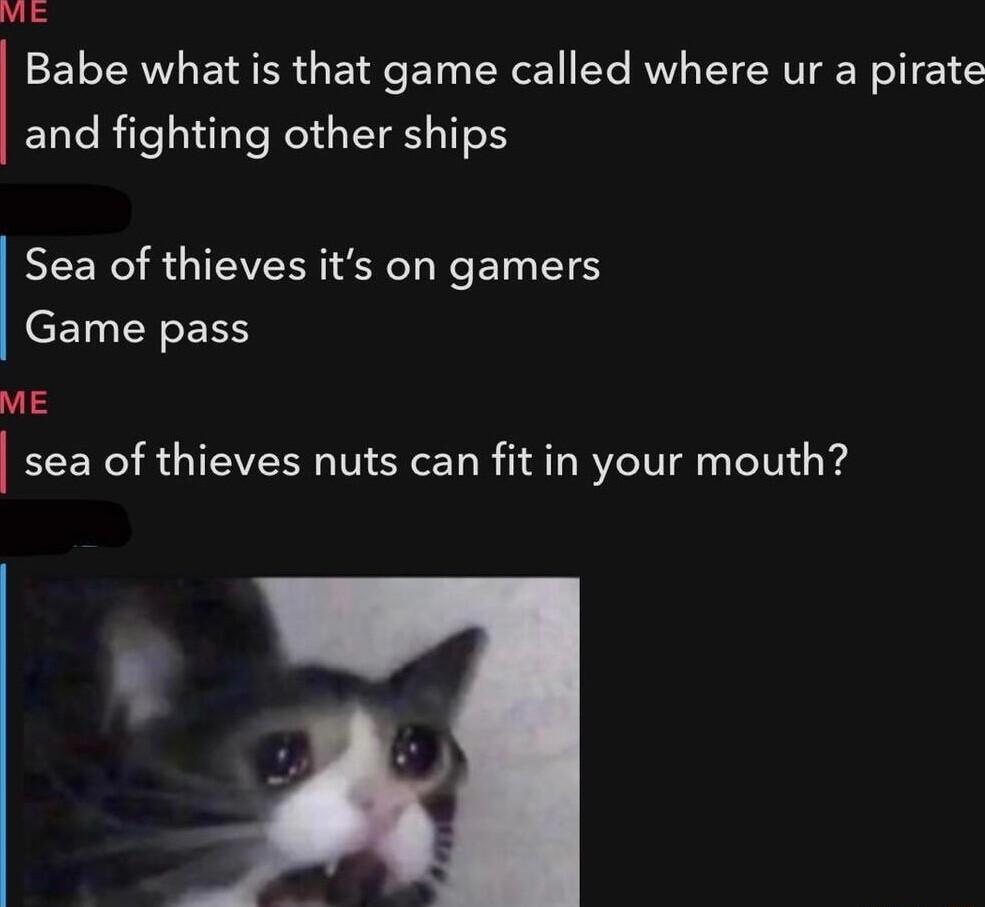 viE ET TRV ETRER G E I ET R eET Yo RV TRV N1 and fighting other ships Sea of thieves its on gamers Game pass ME sea of thieves nuts can fit in your mouth