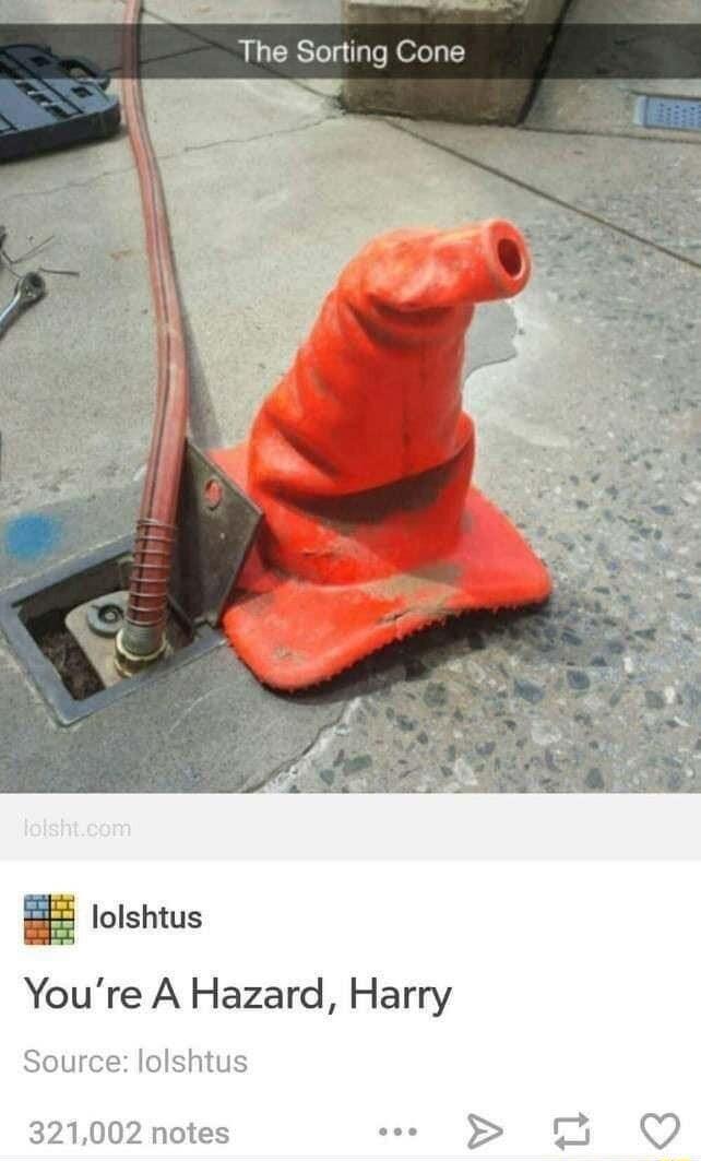 The Sorting Cone lolshtus Youre A Hazard Harry