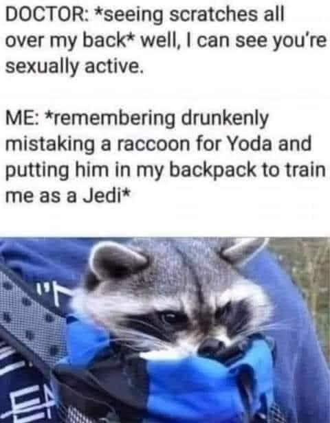 DOCTOR seeing scratches all over my back well can see youre sexually active ME remembering drunkenly mistaking a raccoon for Yoda and putting him in my backpack to train me as a Jedi ST