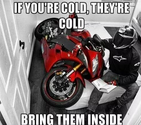 IF YOU'RE COLD, THEY'RE COLD. BRING THEM INSIDE