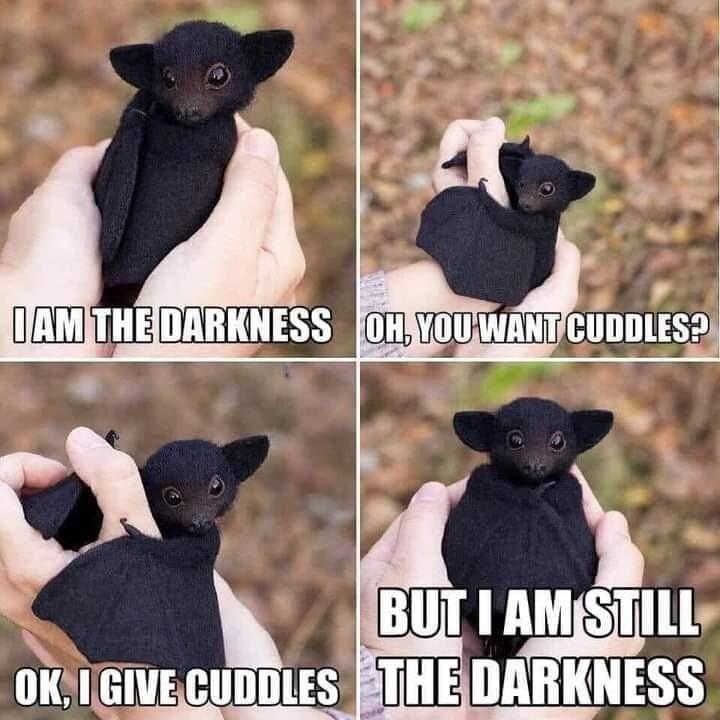 BUT AMSTILLy DARKNESS
