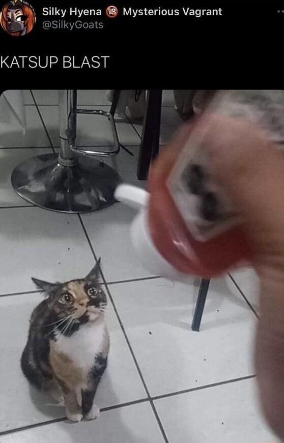 gg Silky Hyena Mysterious Vagrant KATSUP BLAST