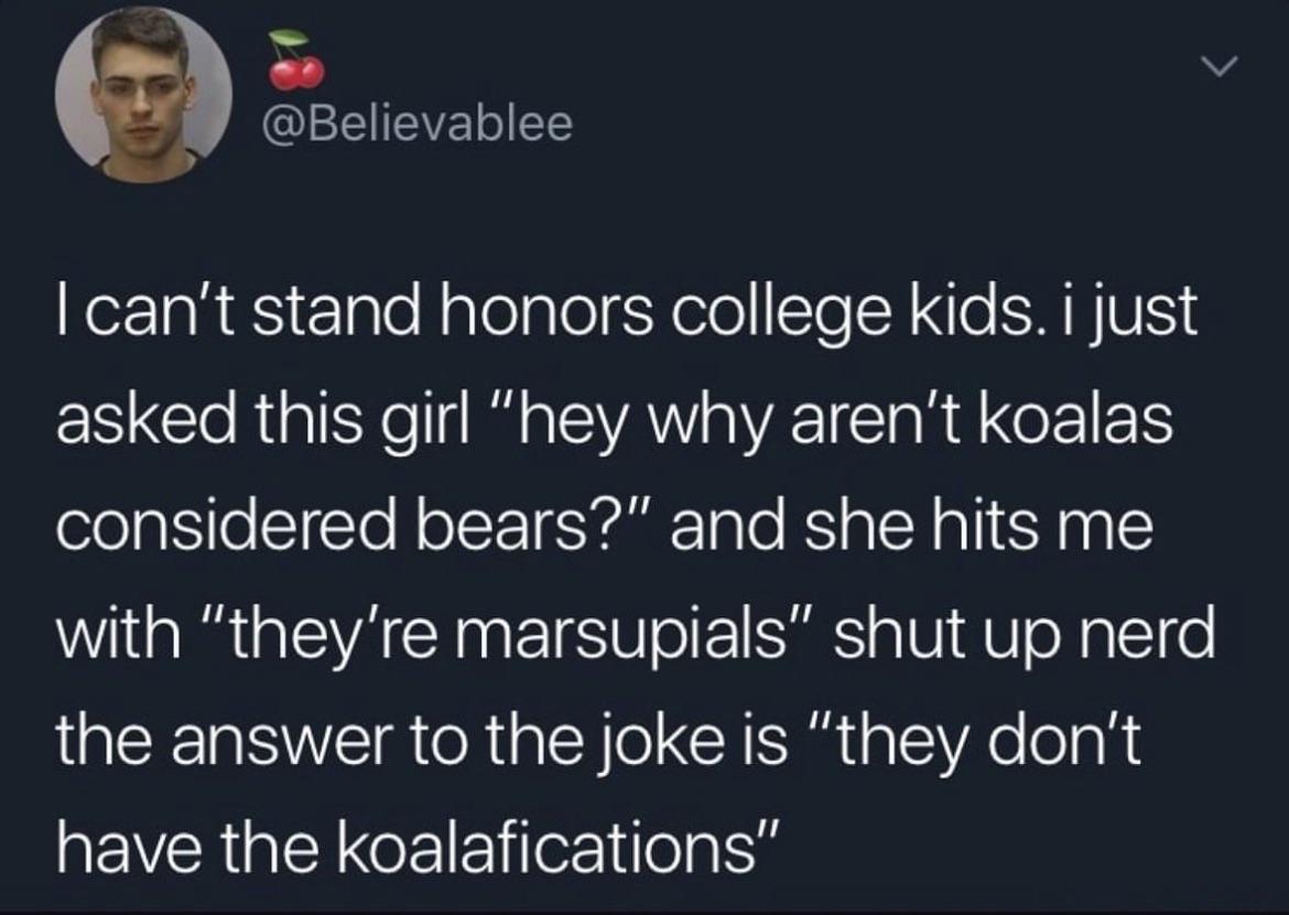 v CEEIEVELIEES eIaRaS Elple Nalelplel Y lolSTeTANTe EMBVEIE asked this girl hey why arent koalas considered bears and she hits me with theyre marsupials shut up nerd the answer to the joke is they dont EVERGEYGETE e Tilel