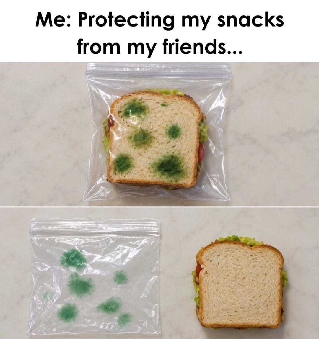 Me: Protecting my snacks from my friends... The image shows a sandwich in a plastic bag with green spots resembling mold. Below, the bag is empty with the green spots remaining, and a fresh, clean sandwich is placed next to it.