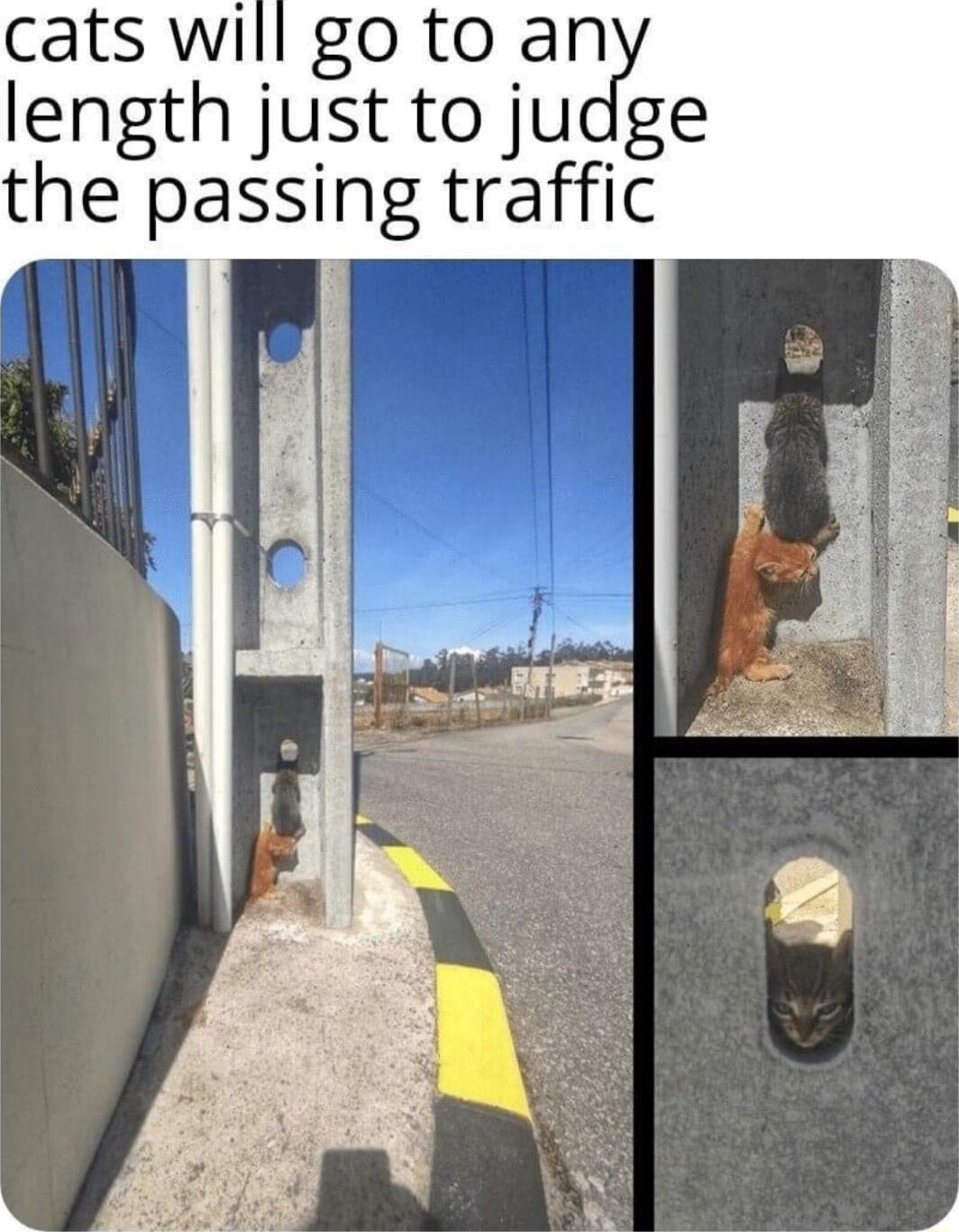 gotoan length just to judge the passing traffic