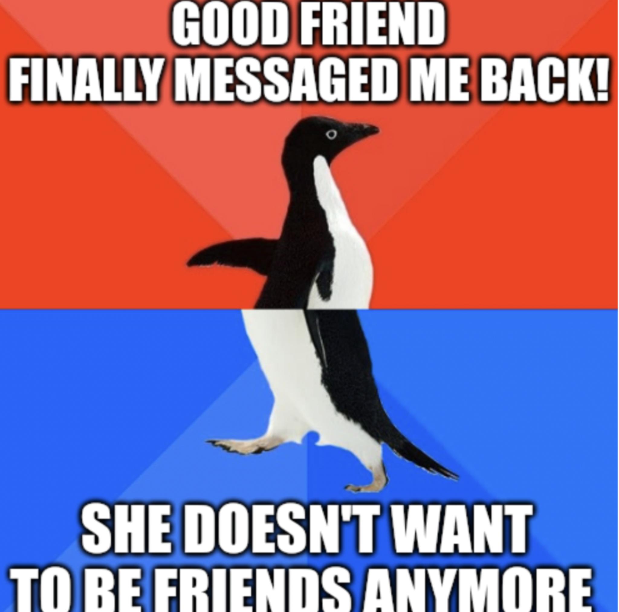 GOODFRIEND FINALLYMESSAGED ME BACK SHEDOESNT WANT TO REFRIENDS ANYMORE