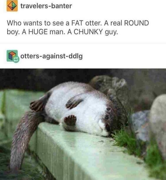 m travelers banter Who wants to see a FAT otter A real ROUND boy A HUGE man A CHUNKY guy P otters against ddlg