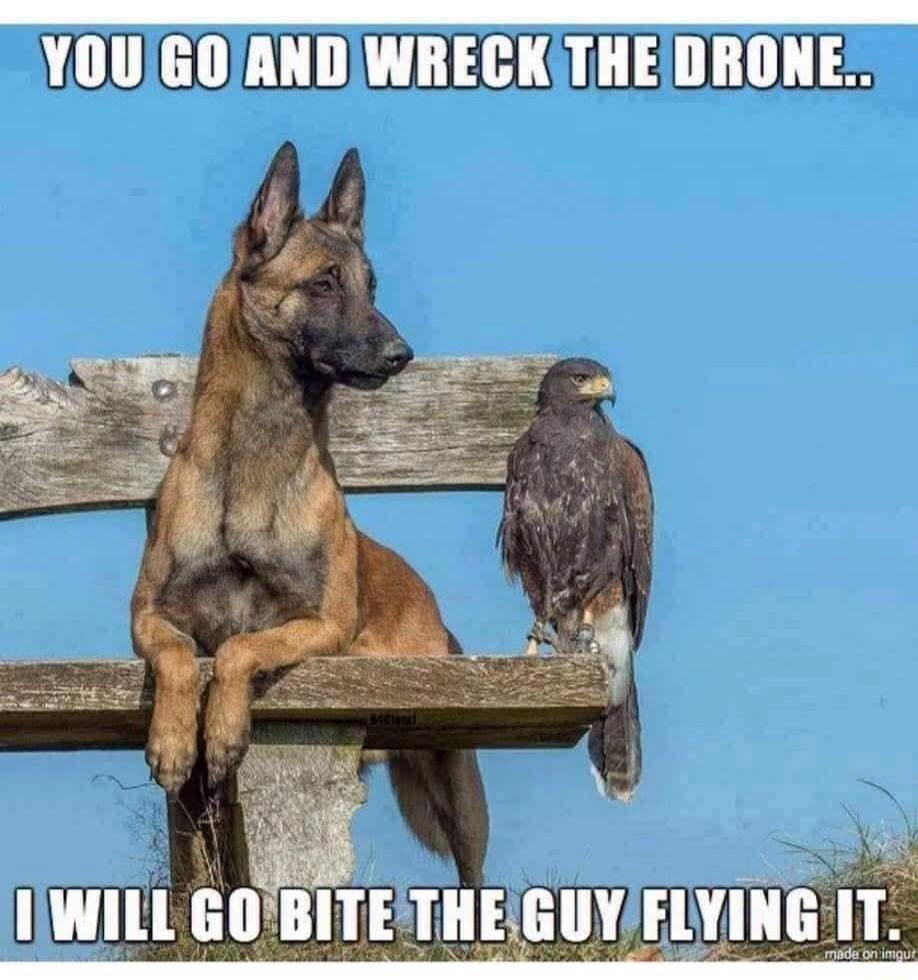 YOU GO AND WRECK THE DRONE.. I WILL GO BITE THE GUY FLYING IT.