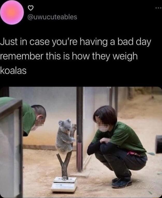 Q IVIINEETIE Just in case youre having a bad day NI GIEE Y e TelWVA e IVAWETTe o NOEIEH