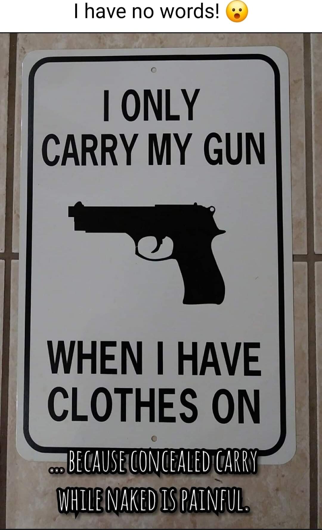 I have no words! 😯
I ONLY CARRY MY GUN WHEN I HAVE CLOTHES ON ... BECAUSE CONCEALED CARRY WHILE NAKED IS PAINFUL.