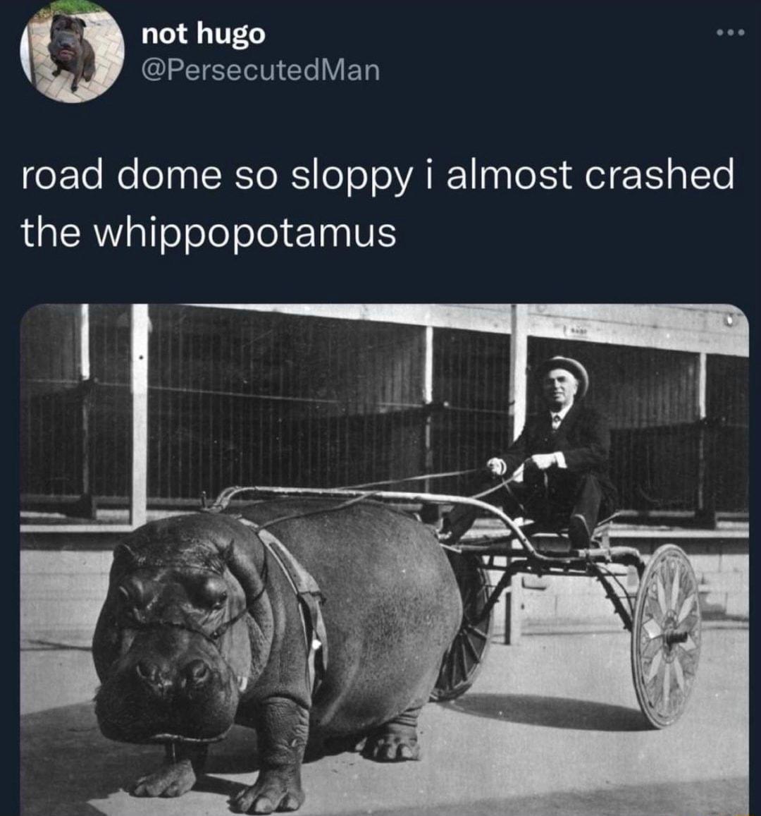 8 not hugo PersecutedMan eXTeNelolaa TR loToTo VAT g o1 QeTE oo AGERTToTelelolel T IV