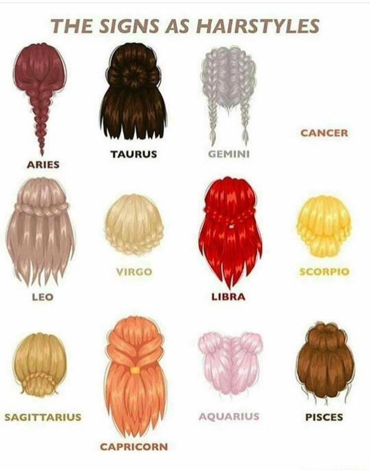 THE SIGNS AS HAIRSTYLES ta CANCER TAURUS GEMINI ARIES VIRGO LEO LIBRA SAGITTARIUS AQUARIUS PISCES CAPRICORN