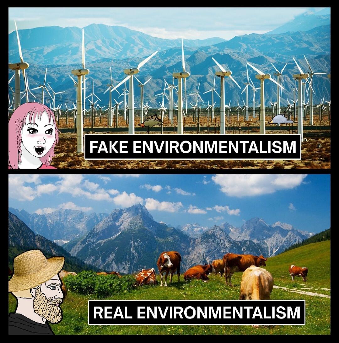 FAKE ENVIRONMENTALISM REAL ENVIRONMENTALISM