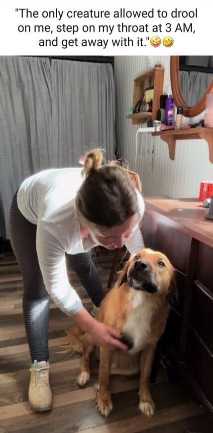 The only creature allowed to drool on me, step on my throat at 3 AM, and get away with it.