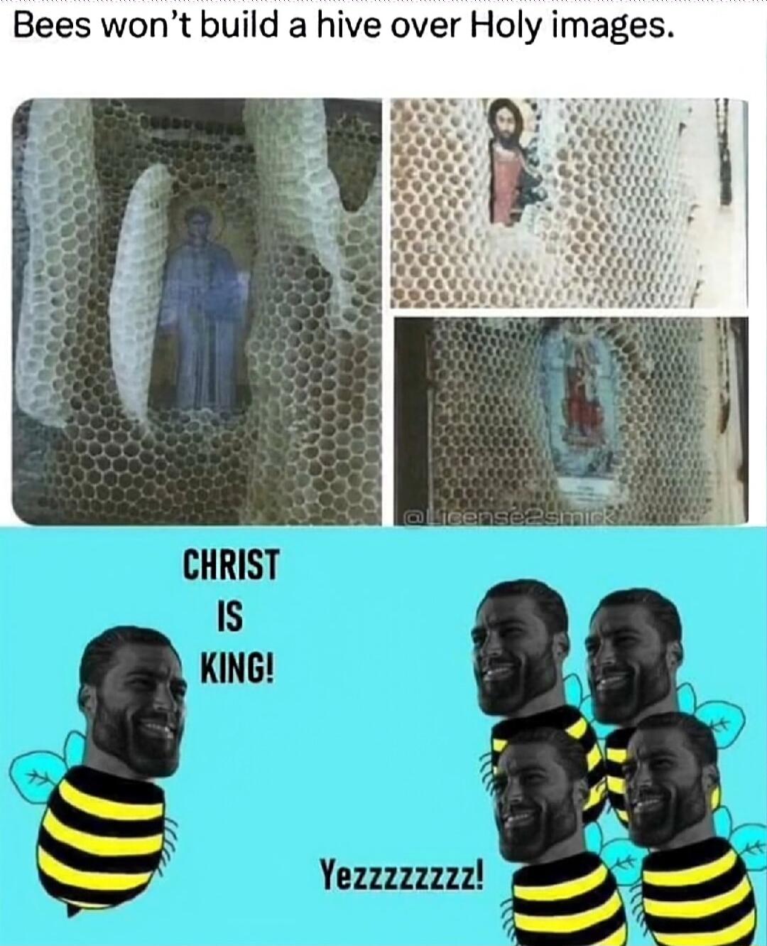 Bees wont build a hive over Holy images