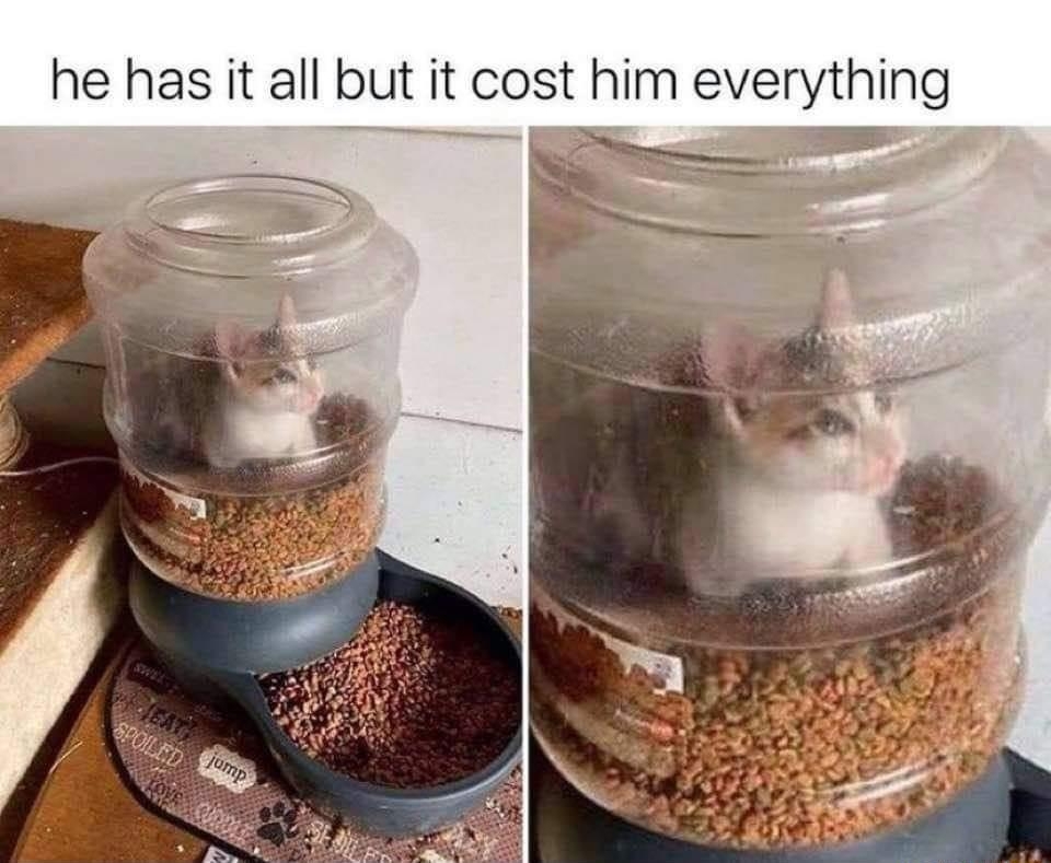 jim time A Gurvillageidiot he hasit all but it cost him everythlng