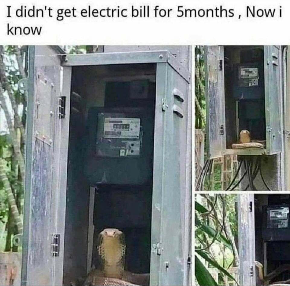 I didnt get electric bill for 5months Now i know h S O S8 VW w i