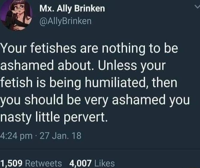 Mx Ally Brinken 4 AllyBrinken Your fetishes are nothing to be ashamed about Unless your fetish is being humiliated then you should be very ashamed you nasty little pervert 424 pm 27 Jan 18 1509 Retweets 4007 Likes