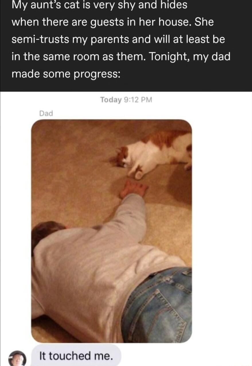 My aunts cat is very shy and hides when there are guests in her house She semi trusts my parents and will at least be in the same room as them Tonight my dad made some progress It touched me