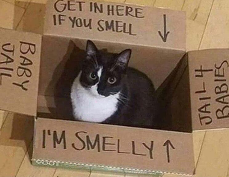 b OETIN hERE 1F Yoy SMEL L