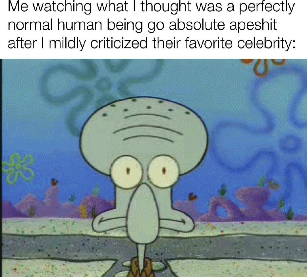Vie watching what thought was a pertectly normal human being go absolute apeshit after mildly criticized their favorite celebrity