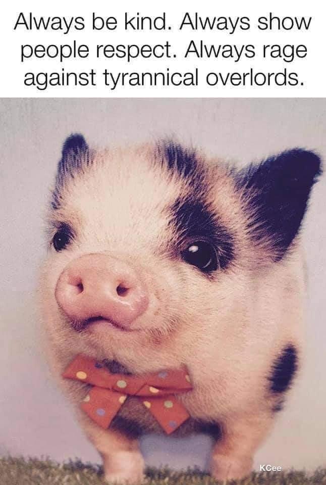 Always be kind Always show people respect Always rage against tyrannical overlords