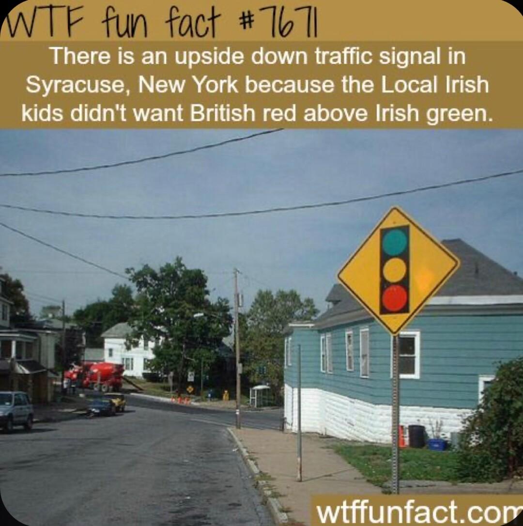 WTF fun fact T6 1