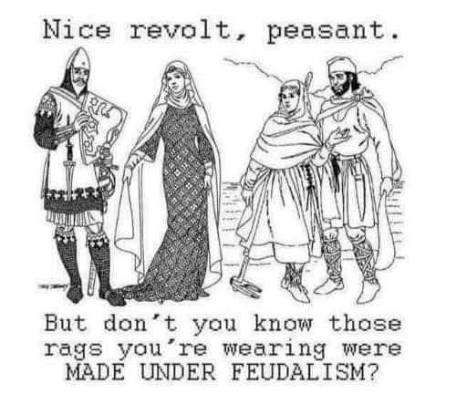 Nice revolt peasant But dont you know those rags youre wearing were MADE UNDER FEUDALISM