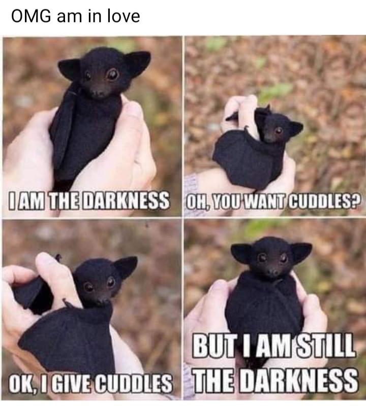 OMG am in love IBUT AMSTILLS oKAGIvEcuDDLEs STHEDARKNESS